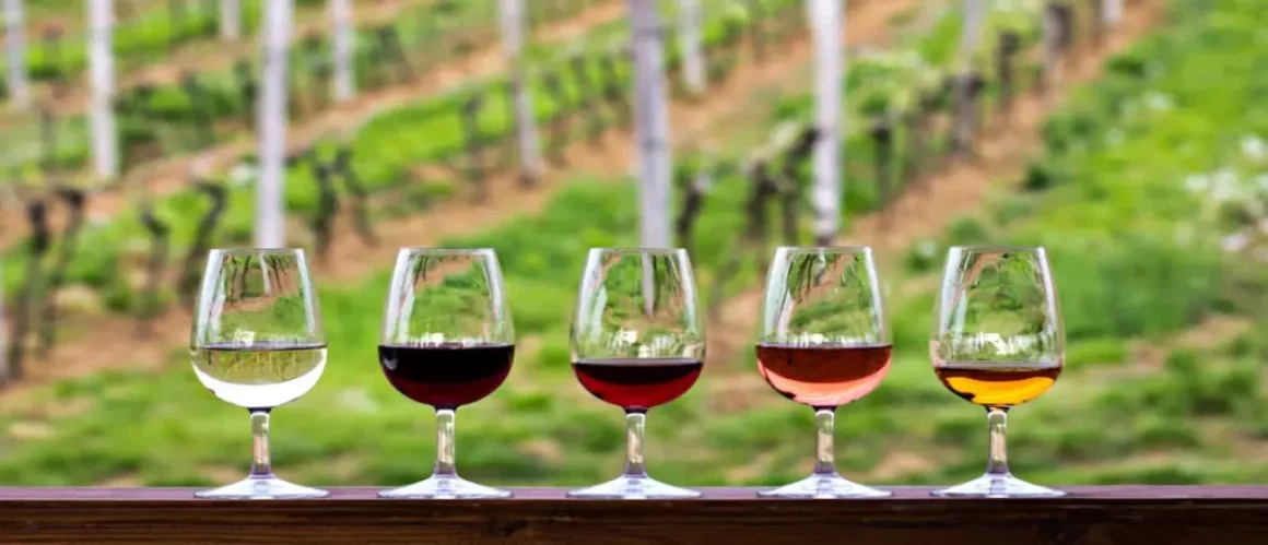 Cómo realizar una cata de vinos: técnica, sentidos y placer en cada copa