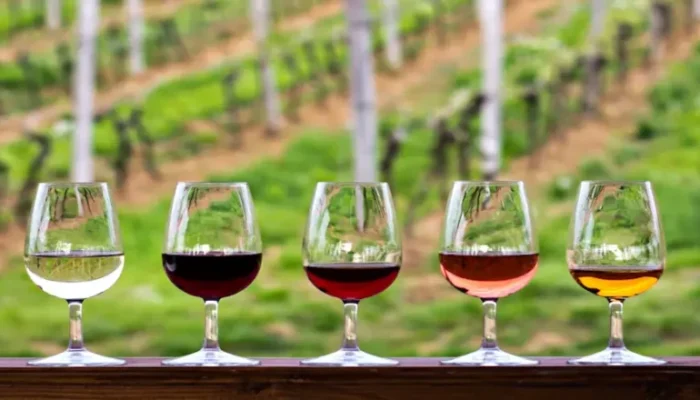 Cómo realizar una cata de vinos: técnica, sentidos y placer en cada copa