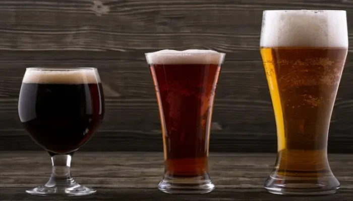 Guía Completa de los Tipos de Cerveza: Explorando el Mundo de la Malta y el Lúpulo