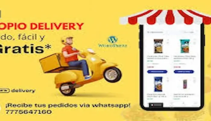 image (26) Como tener mi propio sistema delivey